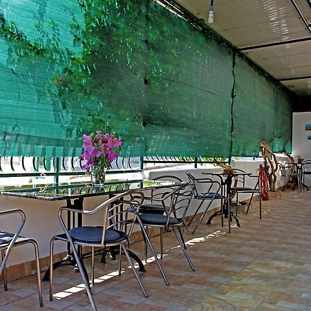 Apartmani Bodo Дрвеник Екстериор снимка